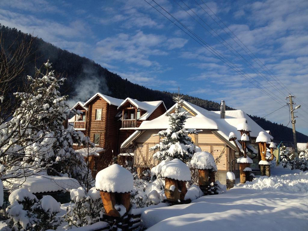 Guest House Anastasia Tatariv Exterior photo
